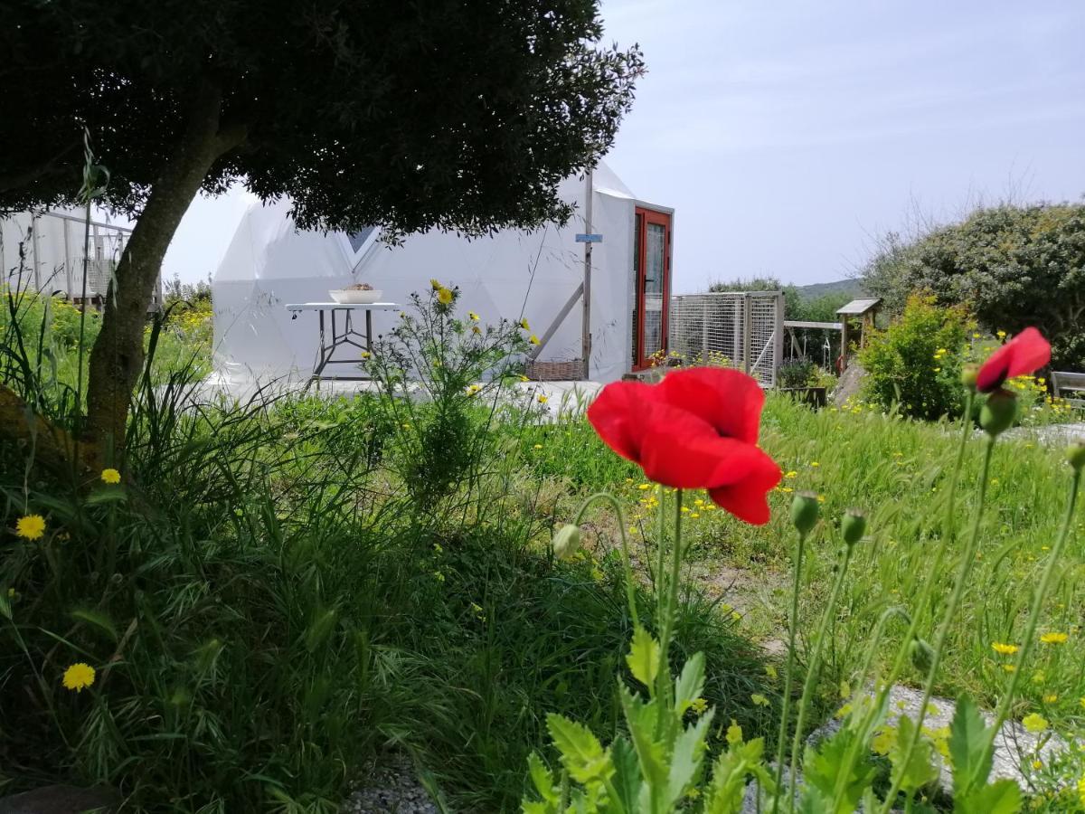 B&B Glamping Semaforo Capo Sperone SantʼAntìoco Exterior foto