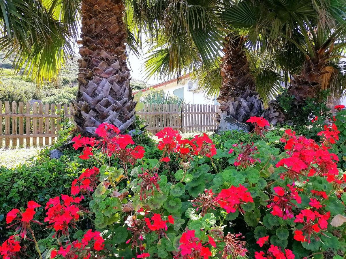 B&B Glamping Semaforo Capo Sperone SantʼAntìoco Exterior foto