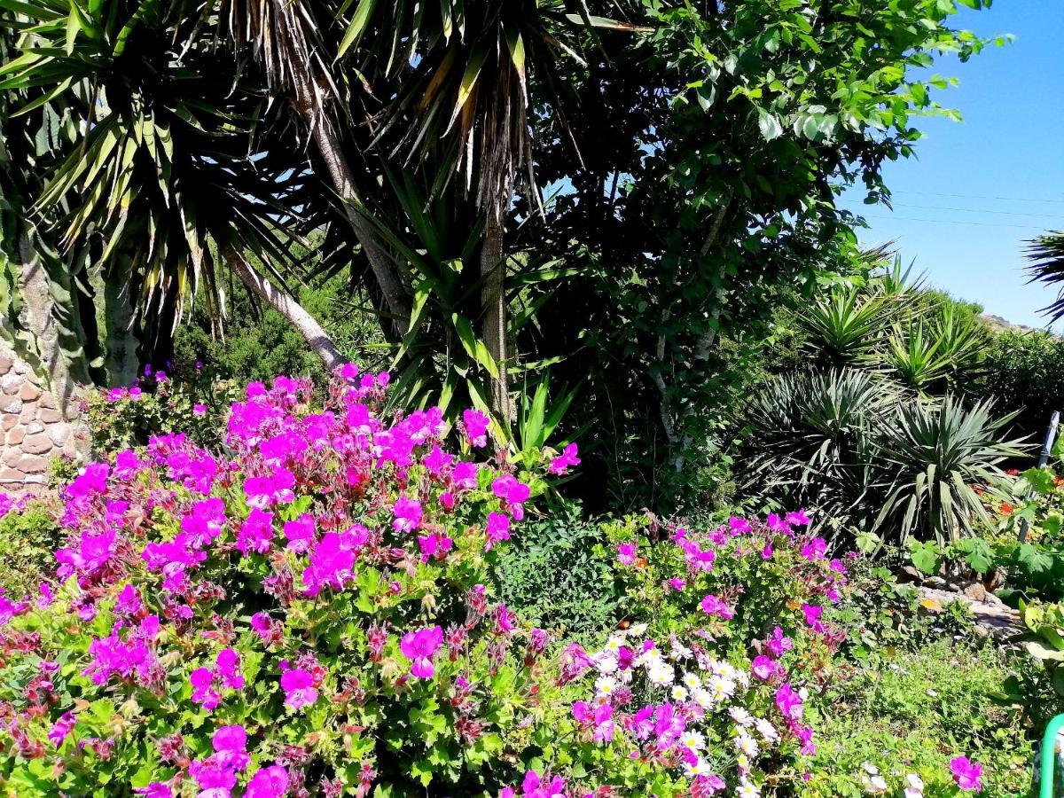 B&B Glamping Semaforo Capo Sperone SantʼAntìoco Exterior foto
